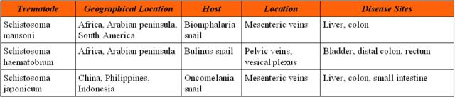 Table 1 - <div style=